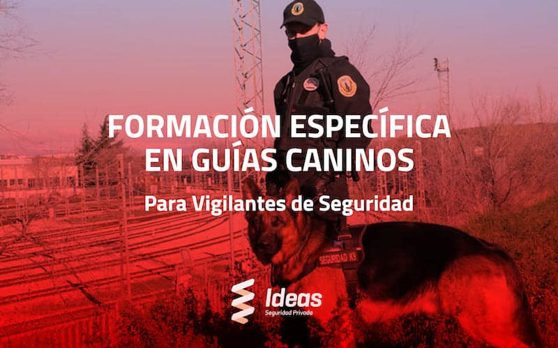 Formación Específica en Guías Caninos para Vigilante de Seguridad con Ideas Seguridad Privada